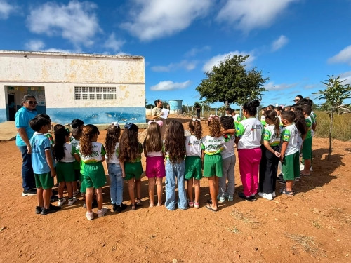 Com apoio do Sistema OCB/PE, Sicoob Pernambuco promove ação ambiental em 26 municípios
