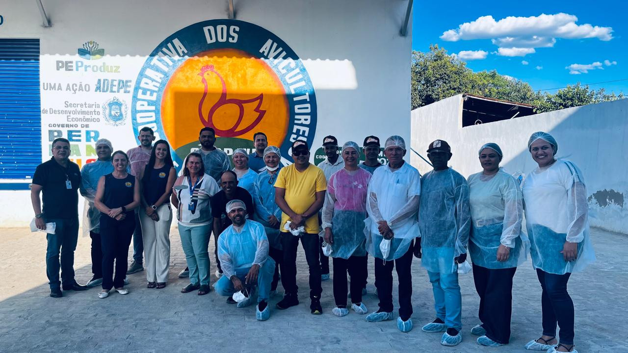Intercooperação: missão técnica aproxima cooperativas de avicultura de Pernambuco e Alagoas